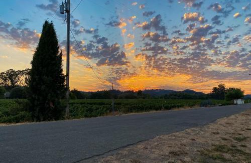 Healdsburg House | Family-Friendly Retreat at Magnolia Ranch Vineyards