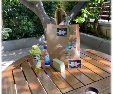 Lesvos House | Serene Magnolia Residence: 4-Star Spa & Oceanfront Retreat