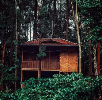 Kottappadi part Resort | Experience Mahout Resort Wayanad: Jungle Stay with Waterfall