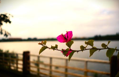 Dak Mil House | MAI HOTAY Lakeside Highland Retreat Homestay