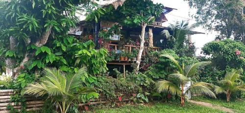 Puerto Narino House | Discover Refugio Maiku: Top-Rated Stay with Kitchen & Dining
