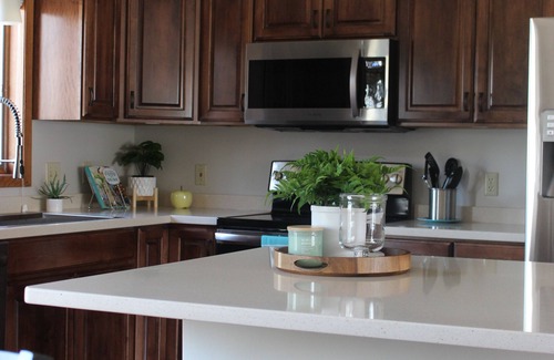 Rochester House | Convenient Main Floor Living Near Mayo with Breakfast