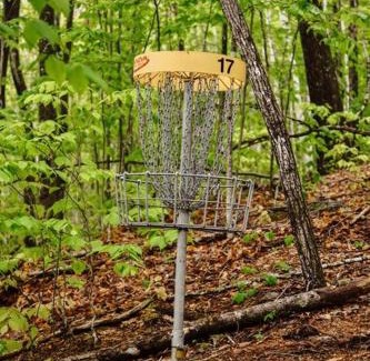 Stoneham House | Family-Friendly Maine Treehouse with Kitchen & Pet Amenities