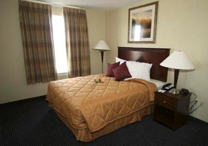 Dover Hotel | Comfortable Mainstay Suites Dover: Pet-Friendly & Family Ready