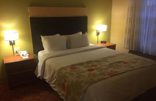 Potomac Falls Hotel | Convenient Hawthorn Suites Sterling Dulles North Awaits