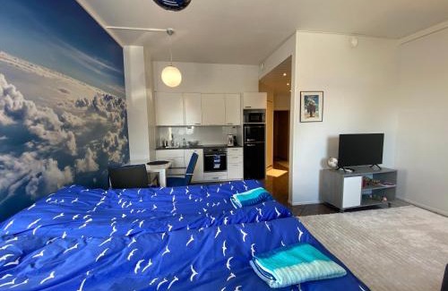 Vierema Apartment | Pet-Friendly Maisa's Studio Apartment in Huoltotie