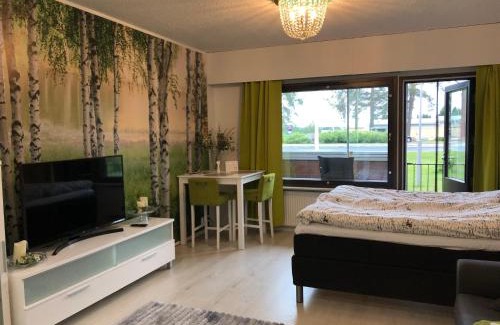 Vierema Apartment | Pet-Friendly Maisa's Studio in Vieremä with Hot Tub