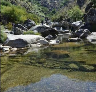 Ribeira de Pena House | Cozy Maisons de Village: Pet & Child Friendly Retreat