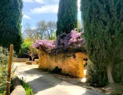 Laudun House | Discover Maison 1643: Oceanfront Escape with Pool
