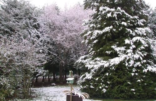 Chateauvieux House | Cozy Maison Near Zoo de Beauval with Garden & Fireplace