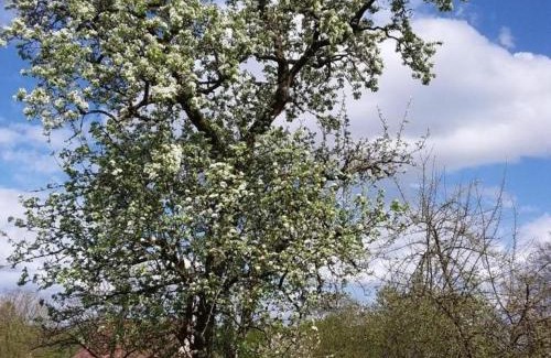 Champsecret House | Idyllic Retreat with Garden and Countryside Views in Champsecret