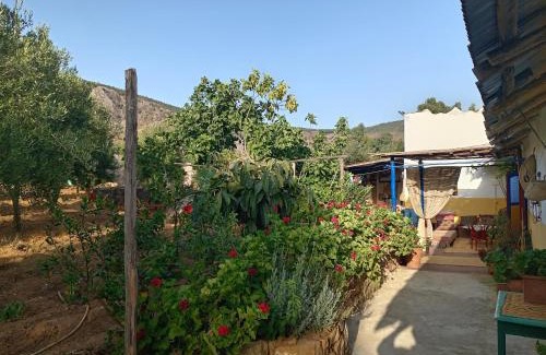 Bni Garfett House | Maison au Jbel