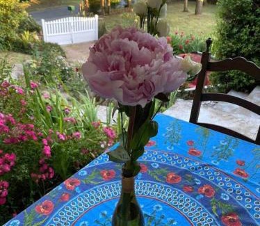 Guerande House | Discover Maison aux cœur de la Brière - Family & Pet Friendly!