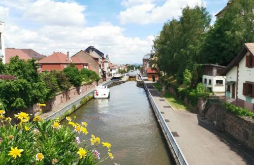 Saverne Apartment | Maison Bleue: Guest Rated 8.7 with Pet-Friendly Perks