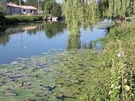 Marans House | Maison calme au bord de l'eau