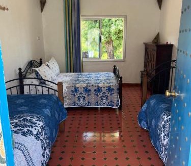 Tazroute House | Pet-Friendly Maison d'hôtes "Abou-Hachem" - Rated 9.9/10