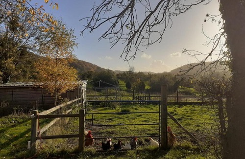 Ablon House | Relaxing Country Retreat: Independent Maison d'hôtes