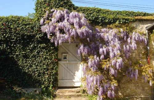 Recloses Bed & Breakfast | Forest Retreat: Family-Friendly Maison de Charme Awaits
