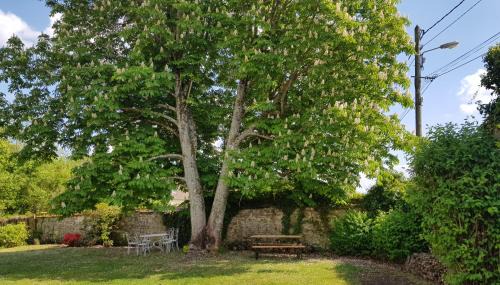 Recloses Bed & Breakfast | Forest Retreat: Family-Friendly Maison de Charme Awaits