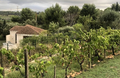 Jonquieres-Saint-Vincent Villa | Experience Maison de Famille with Pool & Spa in Triangle