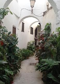 Medina of Tetouan House | Discover Maison De La Lune: Family-Friendly Retreat
