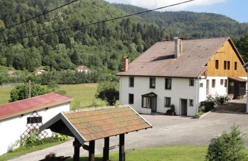 La Bresse House | Cozy Maison de Montagne: Ideal for Families & Activities