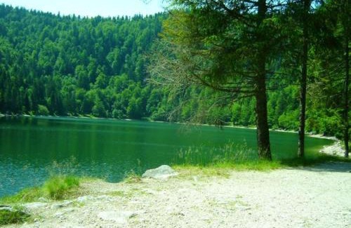 La Bresse House | Cozy Maison de Montagne: Ideal for Families & Activities