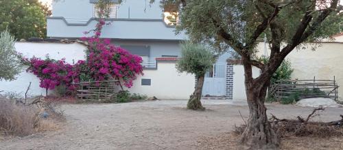 Ain Mediouna House | Maison des vacancies,repos et relaxation