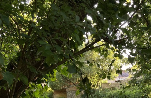 Villeneuve-sur-Bellot House | Maison Dhôtes, à la Campagne 6 Couchages. 1h15 de Paris & 45 min Deurodisney
