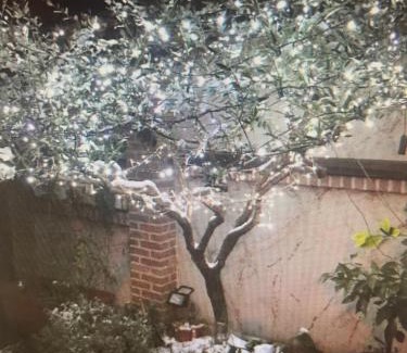 Brandizzo House | Family-Friendly Retreat at Maison Di Gugli - Rated 9.4/10