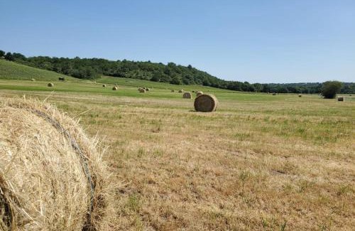 Loire Layon Aubance House | Family-Friendly Maison du Domaine: Perfect for Your Getaway
