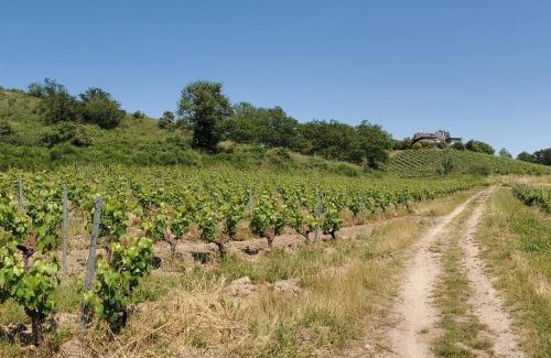 Loire Layon Aubance House | Family-Friendly Maison du Domaine: Perfect for Your Getaway