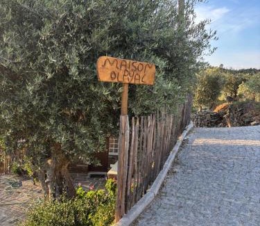 Armamar House | Oceanfront Oasis: Maison du Olival with Pool & Kids’ Fun