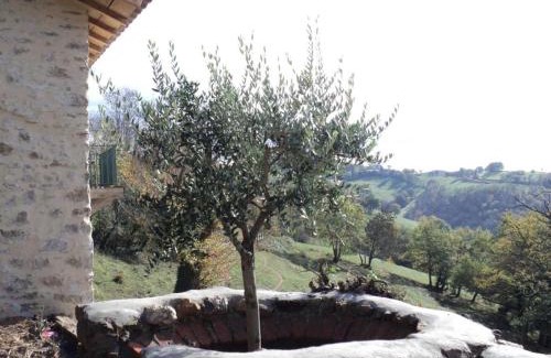 Firmi House | Discover Maison En Pierres: Family & Pet-Friendly Retreat