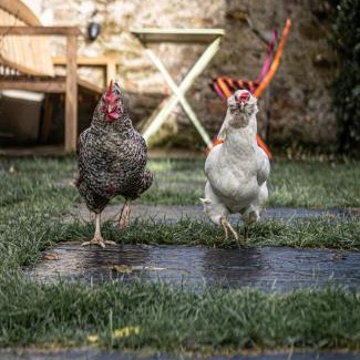 Saint-Jacques - Pirmil House | Top-Rated Family-Friendly Stay at La Laiterie de la Plume