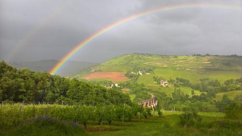 Valady House | Secluded Vineyard Retreat: Pet & Child Friendly Stay