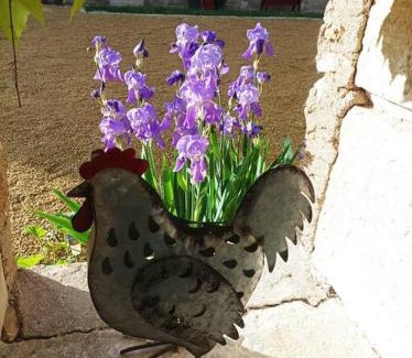 Avanton House | Relaxing Maison d'hôtes for Families - Rated 9.3/10