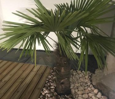 Pignans House | Oceanfront Haven at Maison Loubiere - Guest Rated 9.4/10