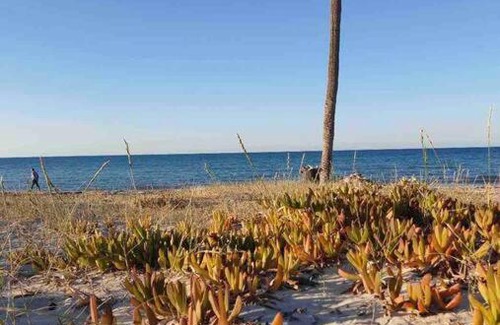Mezraia Villa | Discover Maison Mennana: Steps from Ulysse Beach