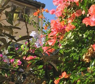 Thiers Bed & Breakfast | Guest Rated 9.4: Family-Friendly Stay at Maison Olea