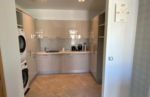 Veigy-Foncenex Apartment | Oceanfront Maison Olivier: Pet-Friendly Retreat with Spa