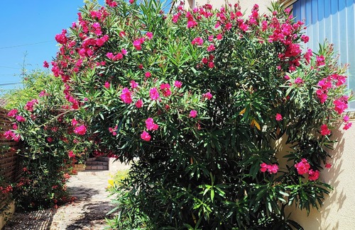 Meyrannes House | Nature Lover's Retreat: A Perfect Getaway Awaits You