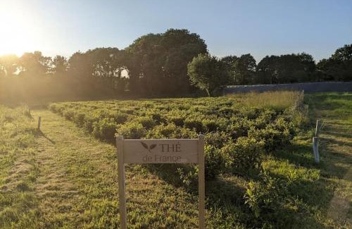 Camors House | Charming Breton Home with Breakfast & Top Guest Rating 9.5