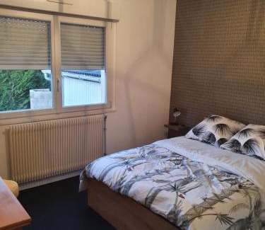 Luxeuil-les-Bains Apartment | Elegant Maison Victor Hugo: Family-Friendly Retreat
