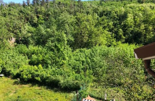 Carrodano Inferiore Bed & Breakfast | Pet-Friendly MAISON44: Family Welcomed, Guest Rated 9/10