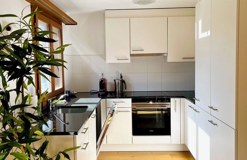 Hofstetten bei Brienz Apartment | Exceptional Maisonette 4.5 Zimmer Near Ballenberg, Pet Friendly