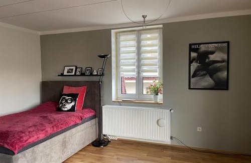 Karlovy Vary Apartment | Maisonette apartment with garden