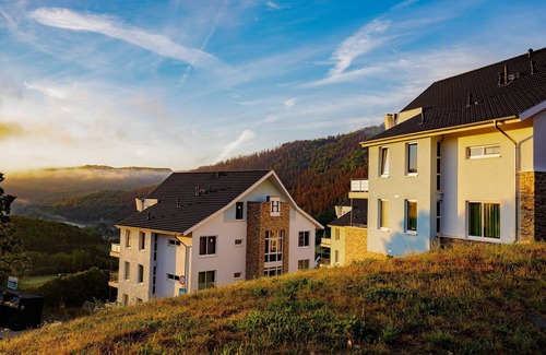 Heimbach Apartment | Elegant Mansion Retreat with Sauna and Pool Amenities