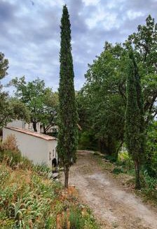 Saint-Maurice-sur-Eygues House | Serene Provençal Retreat Surrounded by Majestic Oaks