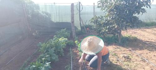 Oumazza House | Maisonnette dans une ferme